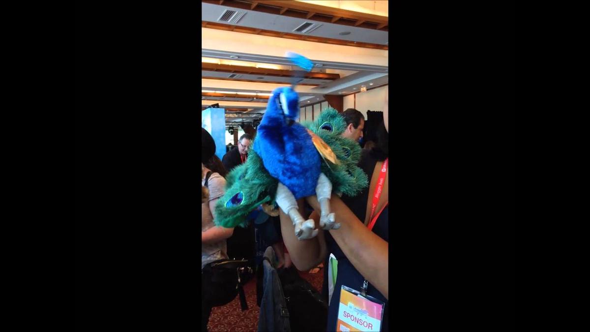 'Video thumbnail for Peacock Puppet Review'