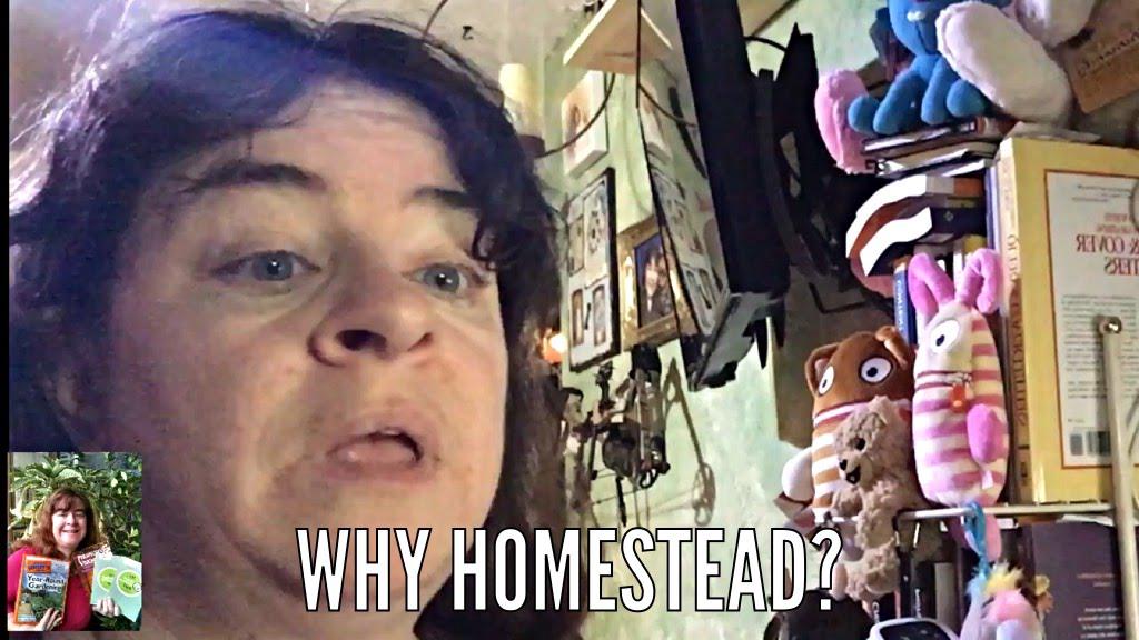 'Video thumbnail for Why Homestead? - Experimental Homesteader Live Stream'