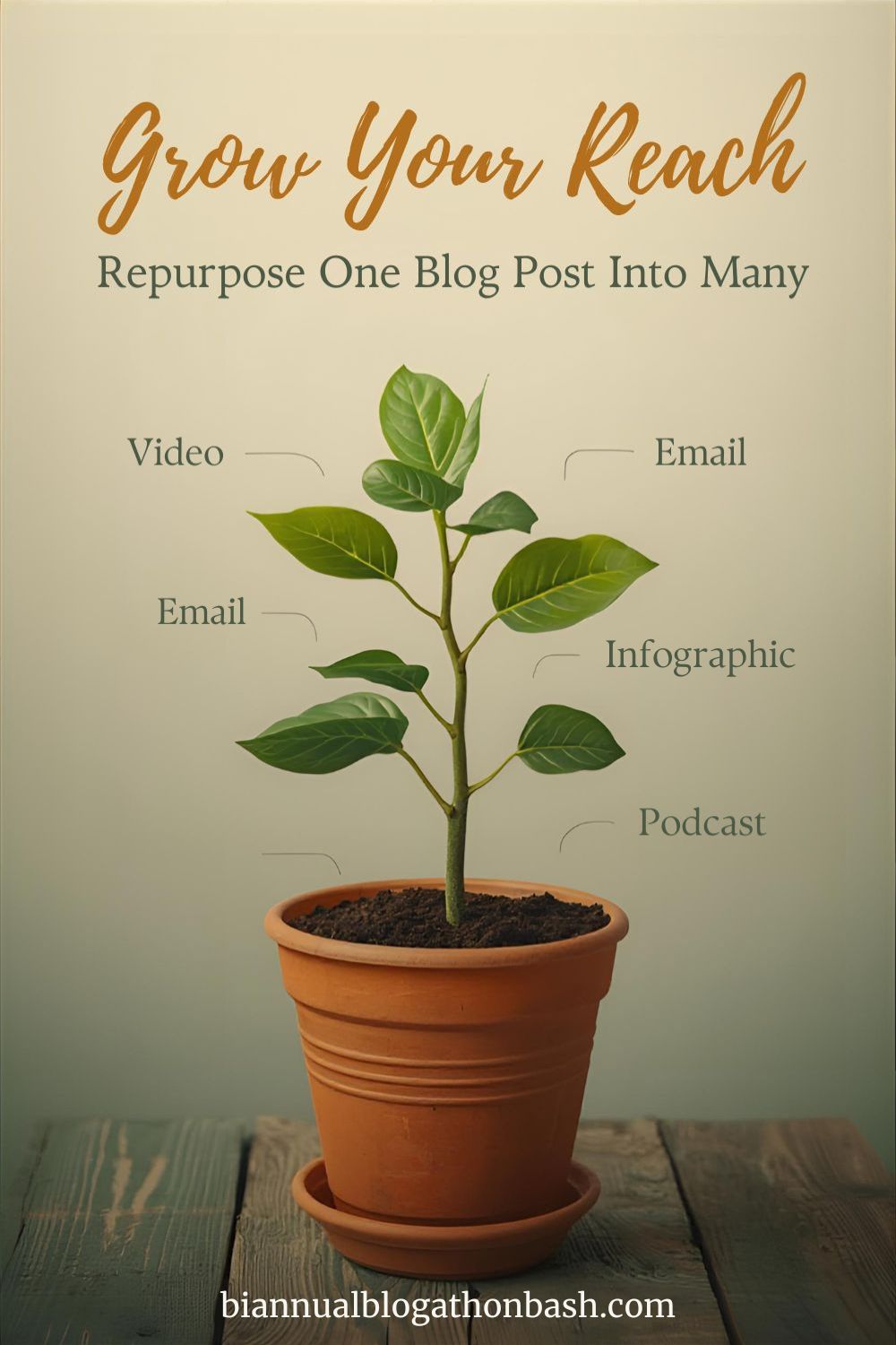 A small potted plant labeled with words like Video, Email, Infographic, and Podcast, symbolizing how one blog post can grow into many types of content.